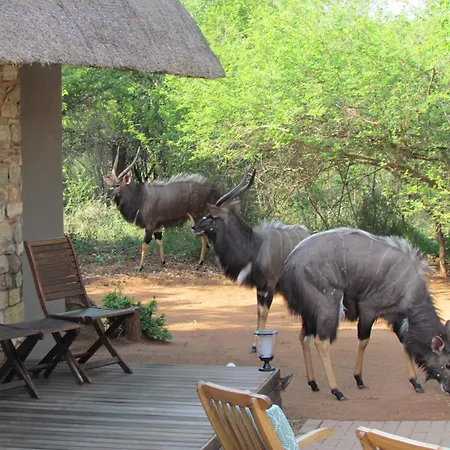 Swiblati Lodge Hoedspruit Exterior photo