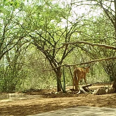 Swiblati Lodge Hoedspruit Exterior photo